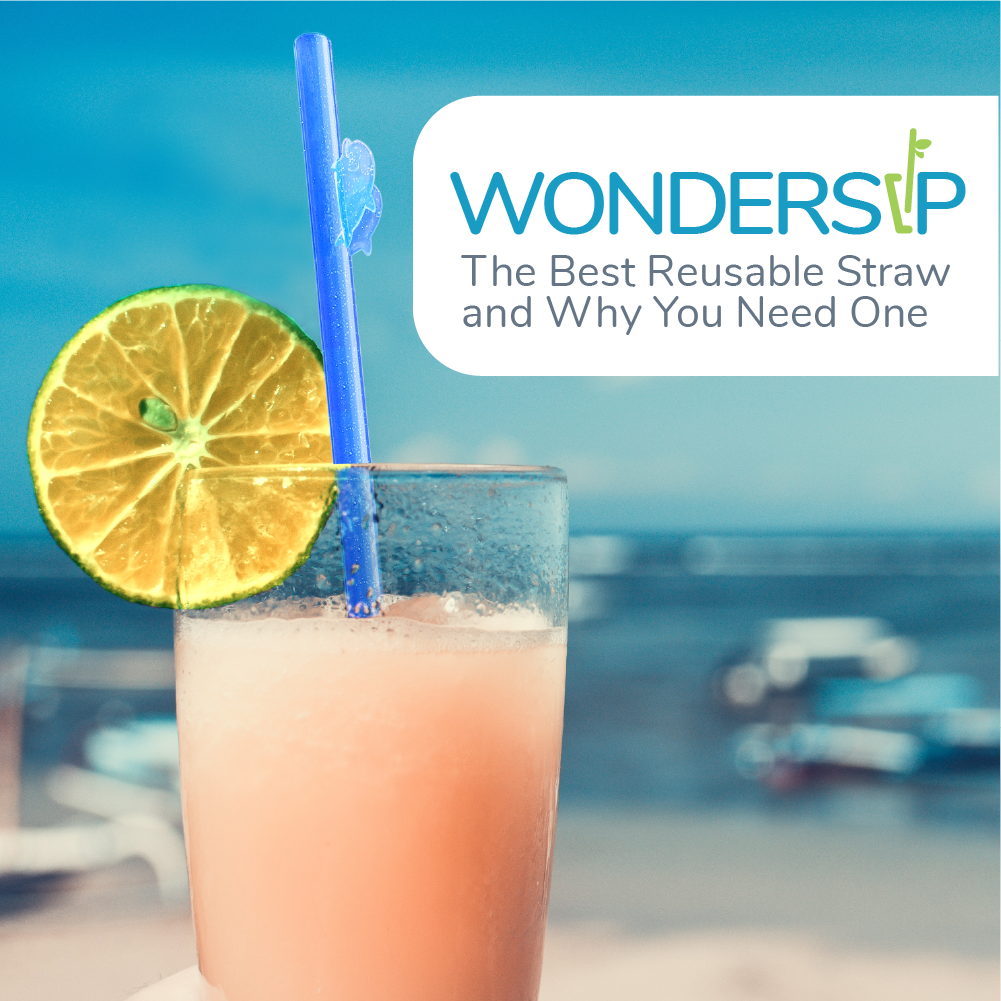 WonderSip: The Best Reusable Straw And Why You Need One